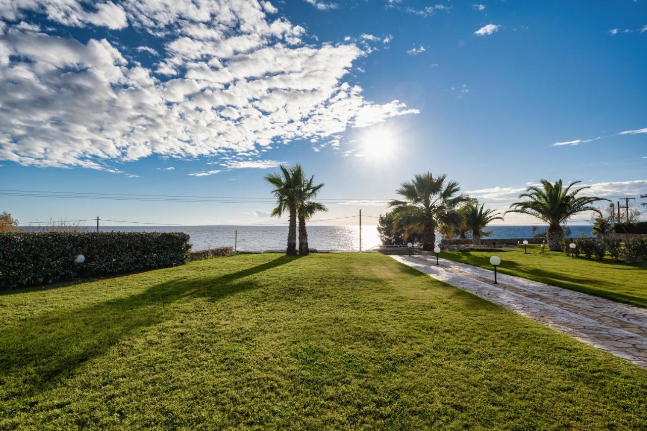 Palmrise Luxury Villas By Travel Pro Services - Nea Skioni Halkidiki Eksteriør billede